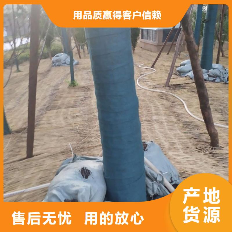 裹树布土工布厂家技术完善