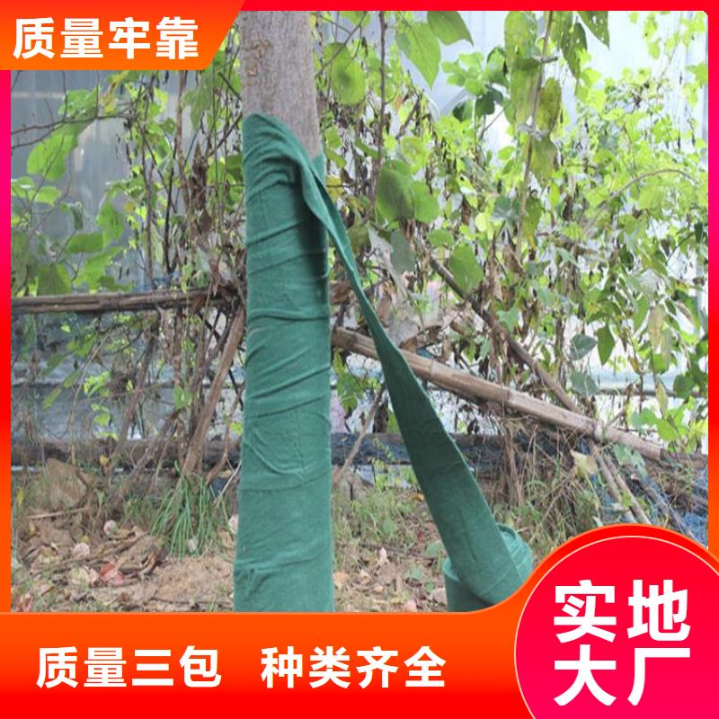 裹树布_蓄水板注重细节