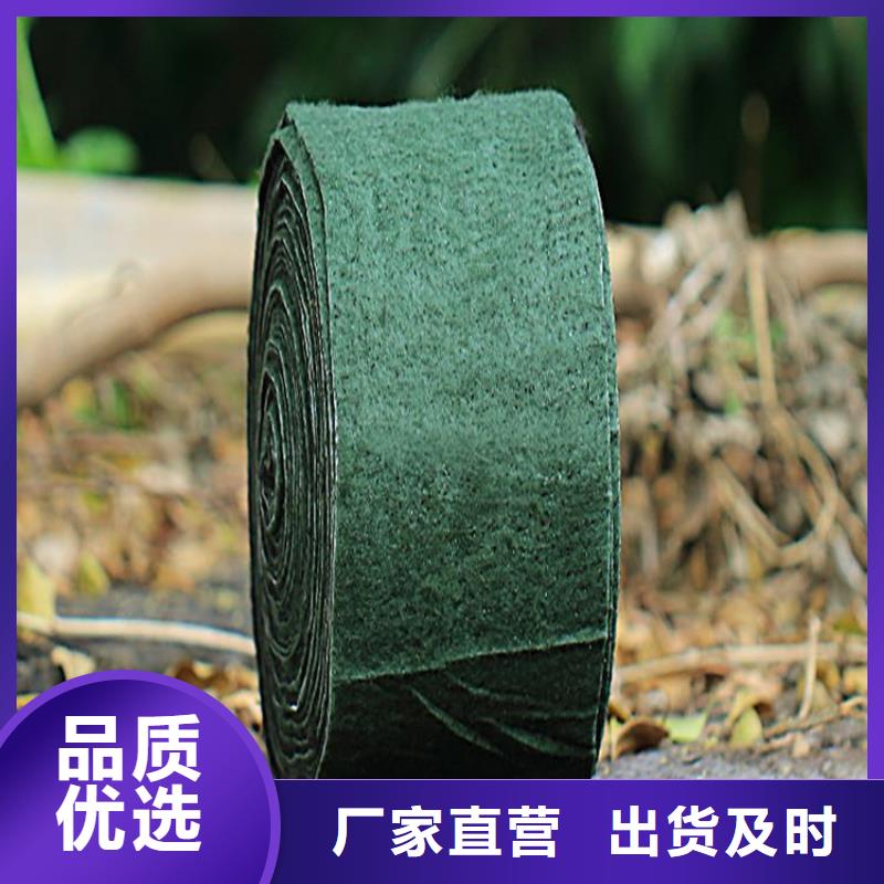 裹树布塑料土工格栅品质值得信赖