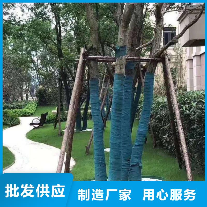 裹树布植草格库存充足