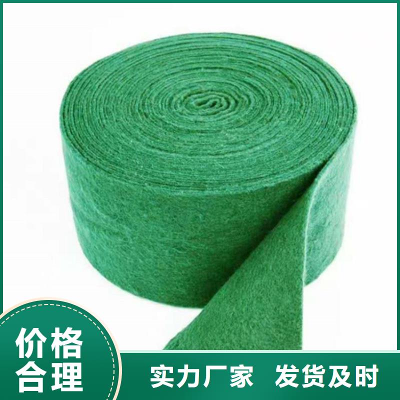 裹树布双向塑料土工格栅您身边的厂家