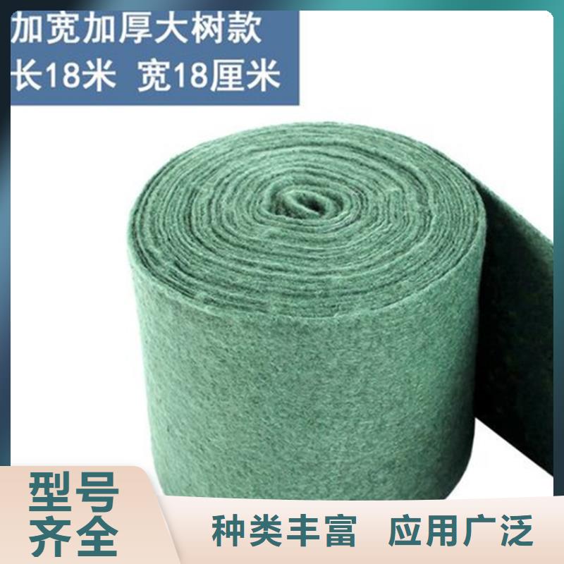 裹树布【【防裂贴】】专心专注专业