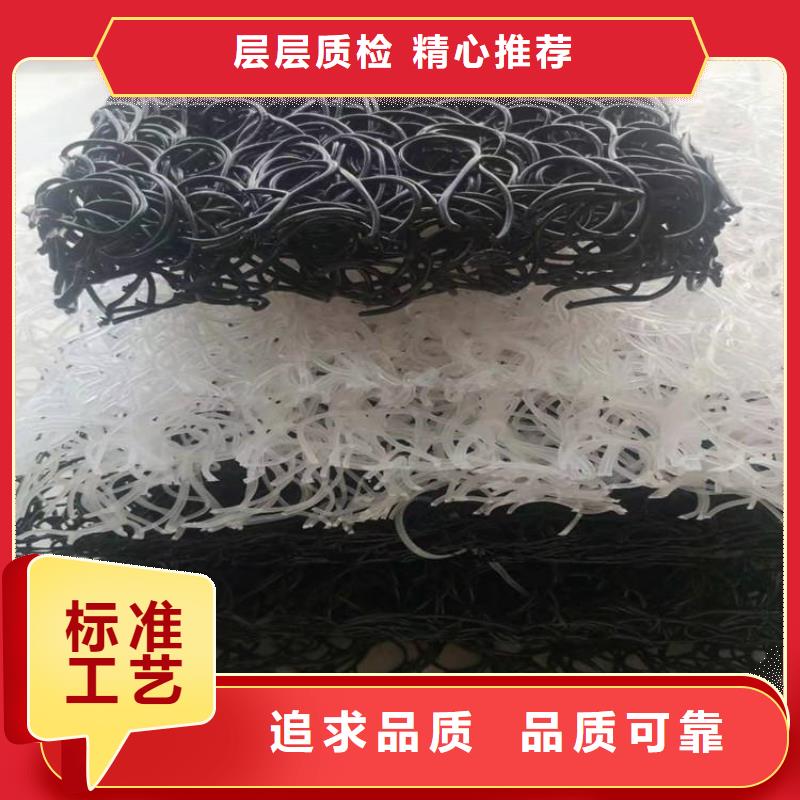 土工席垫HDPE土工膜支持批发零售