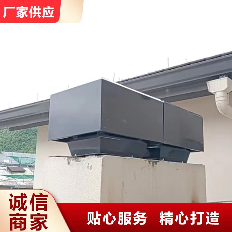 排烟道D系列风帽价格合理
