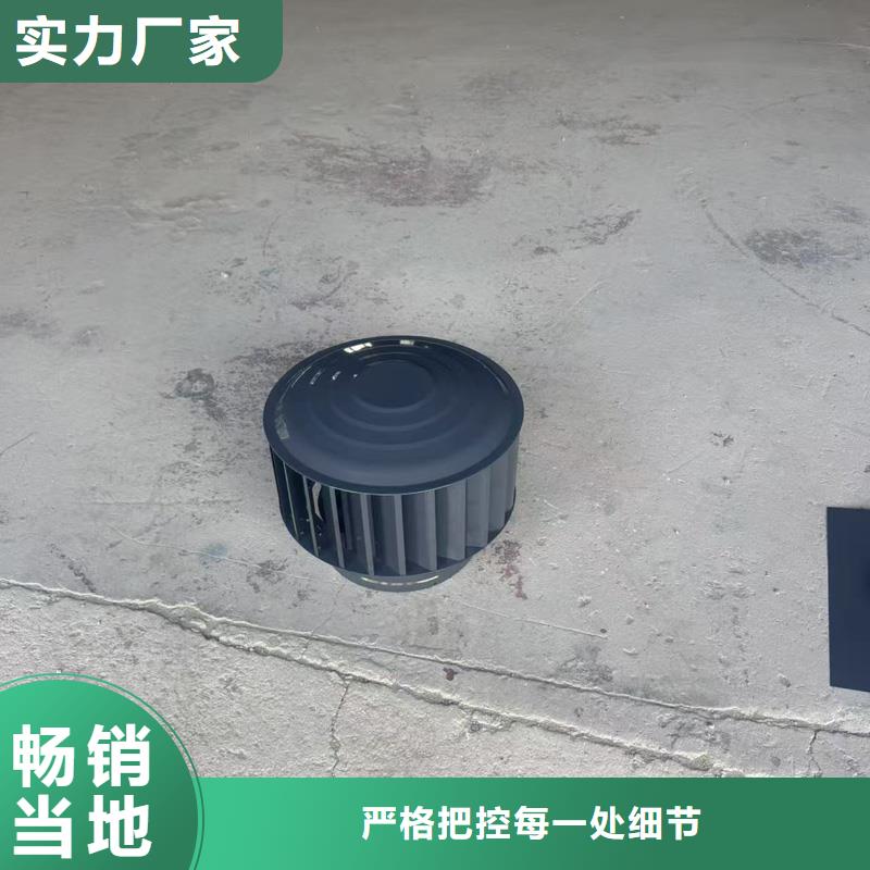 B系列抜气风帽发货及时