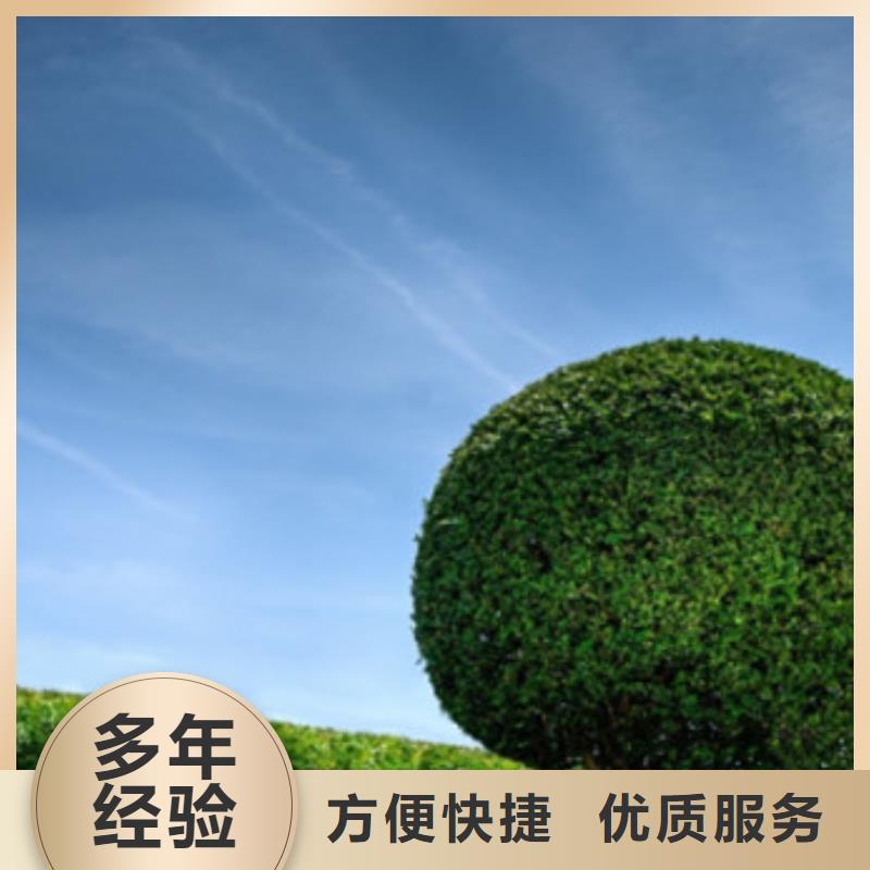 【工程预算】图纸设计从业经验丰富
