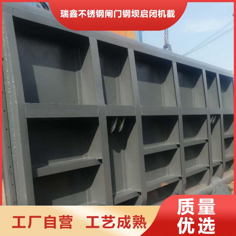 翻板闸门定制速度快工期短