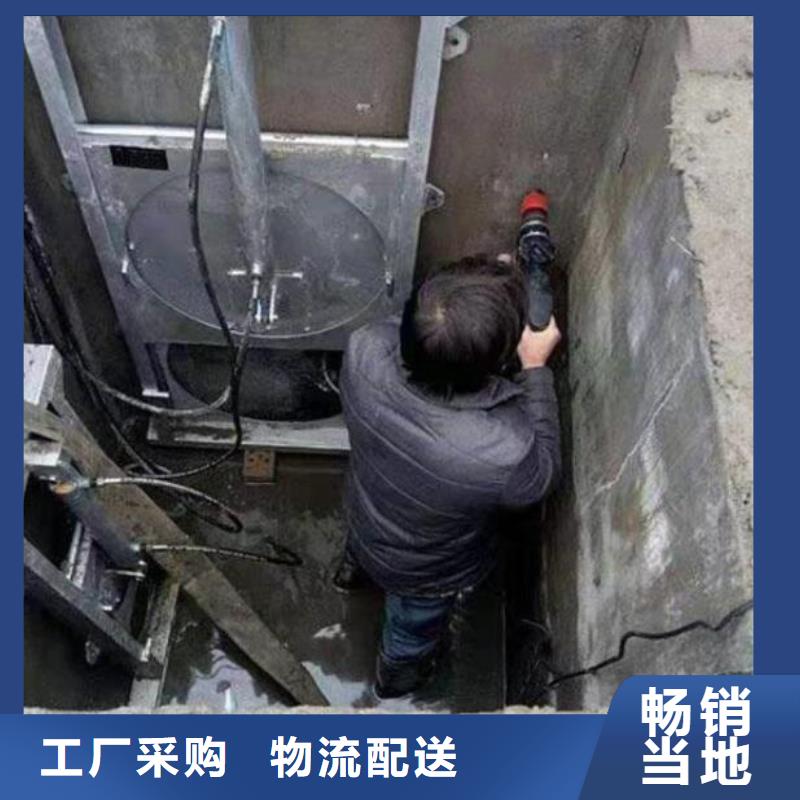 截流井闸门,【电动启闭机】厂家售后完善