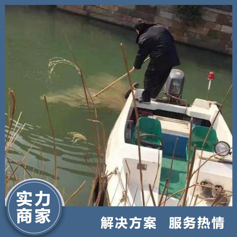 重庆市荣昌区







鱼塘打捞溺水者



快捷