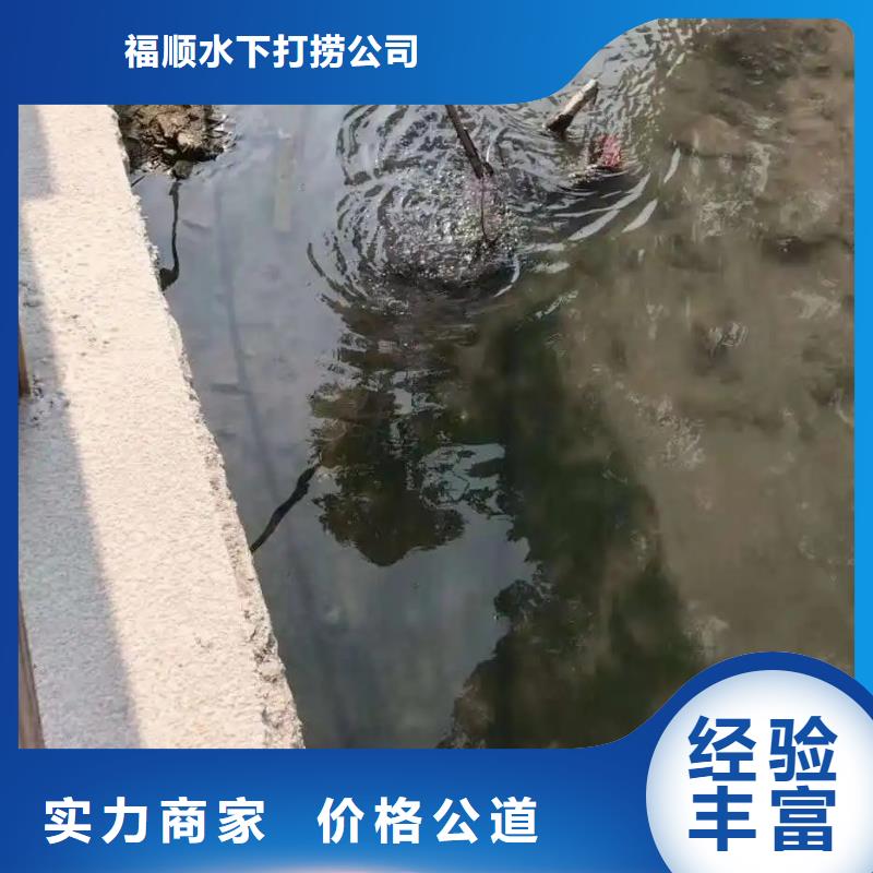 重庆市潼南区



水库打捞车钥匙



快捷