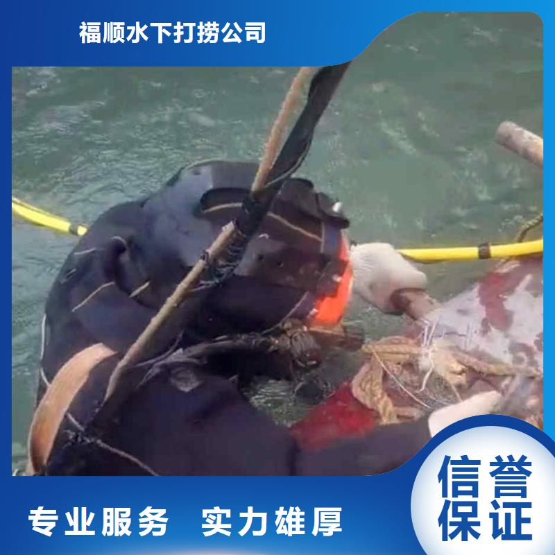 重庆市璧山区水库打捞貔貅在线咨询