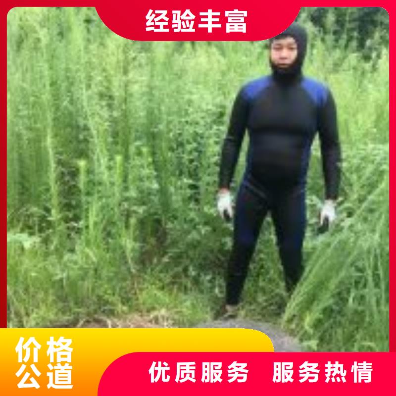 桥桩桥墩水下检测录像公司哪里有