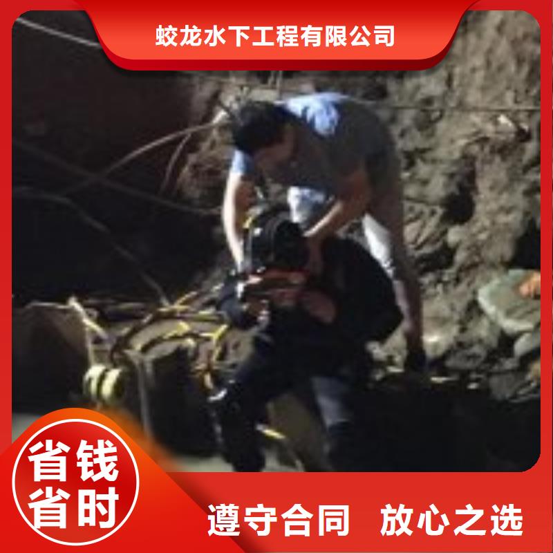 蛙人服务公司信息