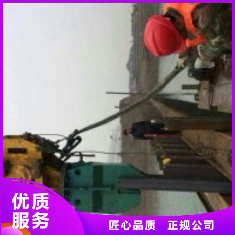 【图】潜水作业队伍生产厂家