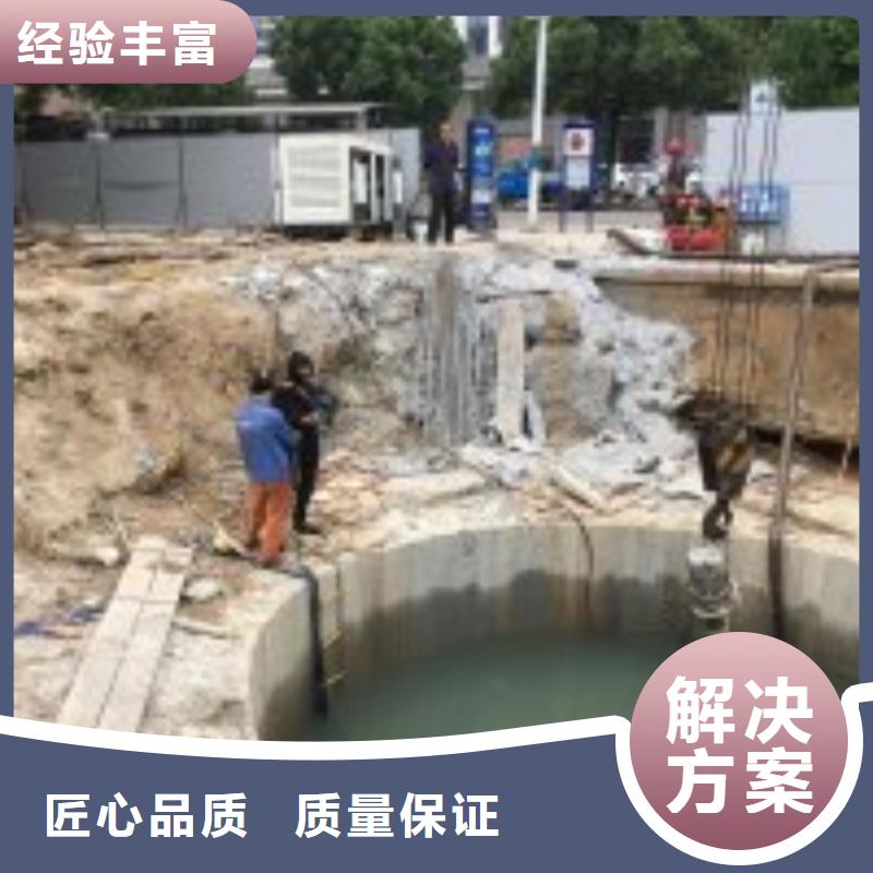 水库电站闸门水下检修公司信息
