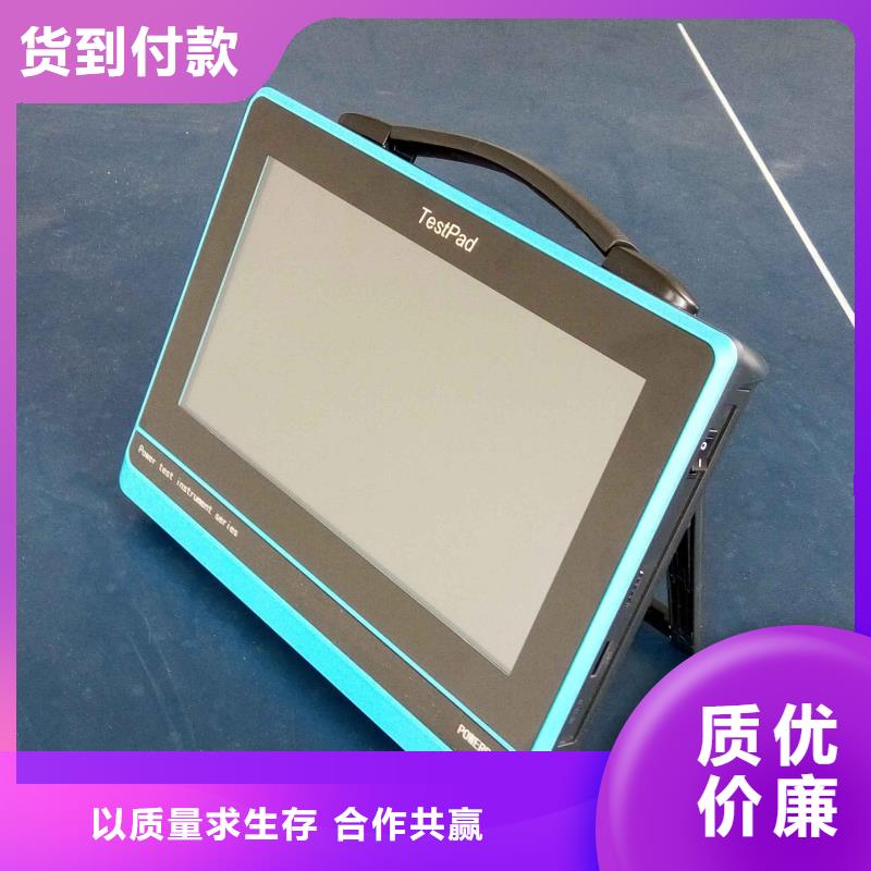 电能质量分析仪【变压器直流电阻测试仪】实力工厂