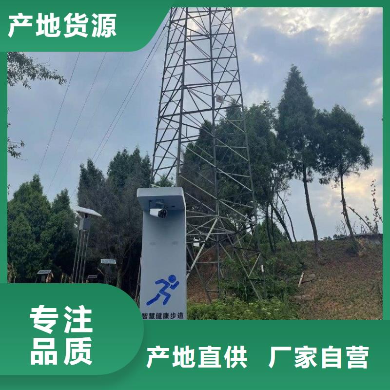 智慧ai智慧步道多年行业积累