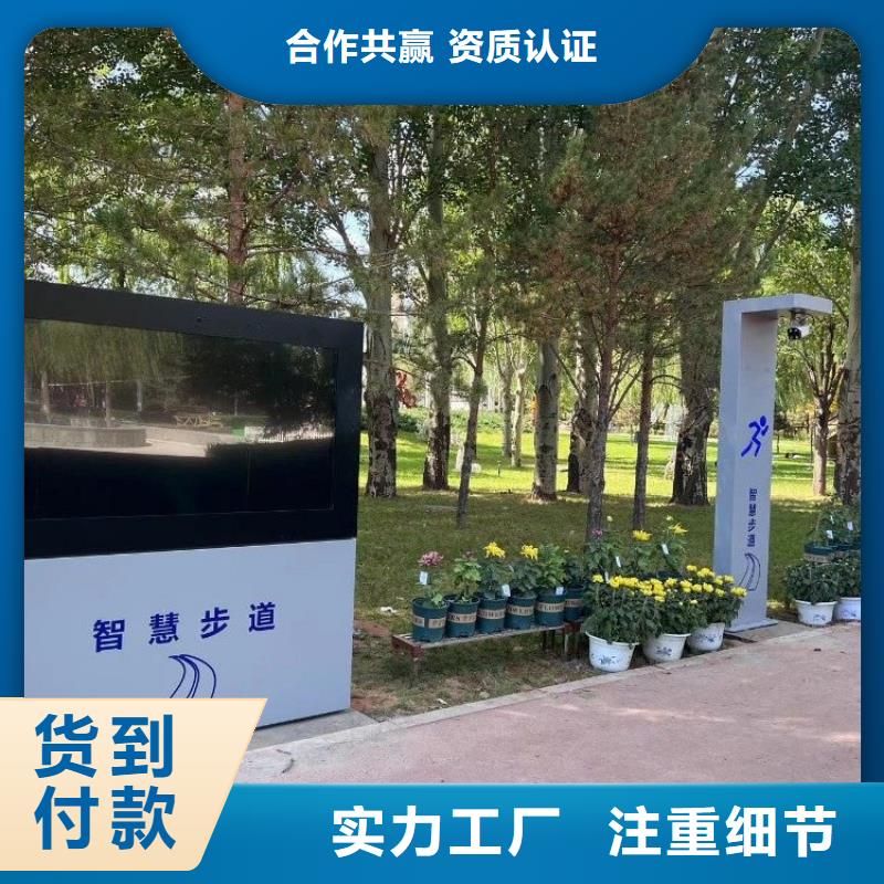 智慧智慧步道厂诚信经营