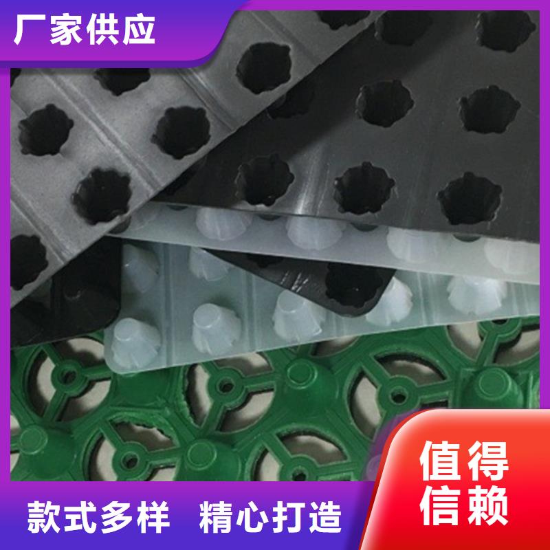 排水板水泥化粪池安装简单