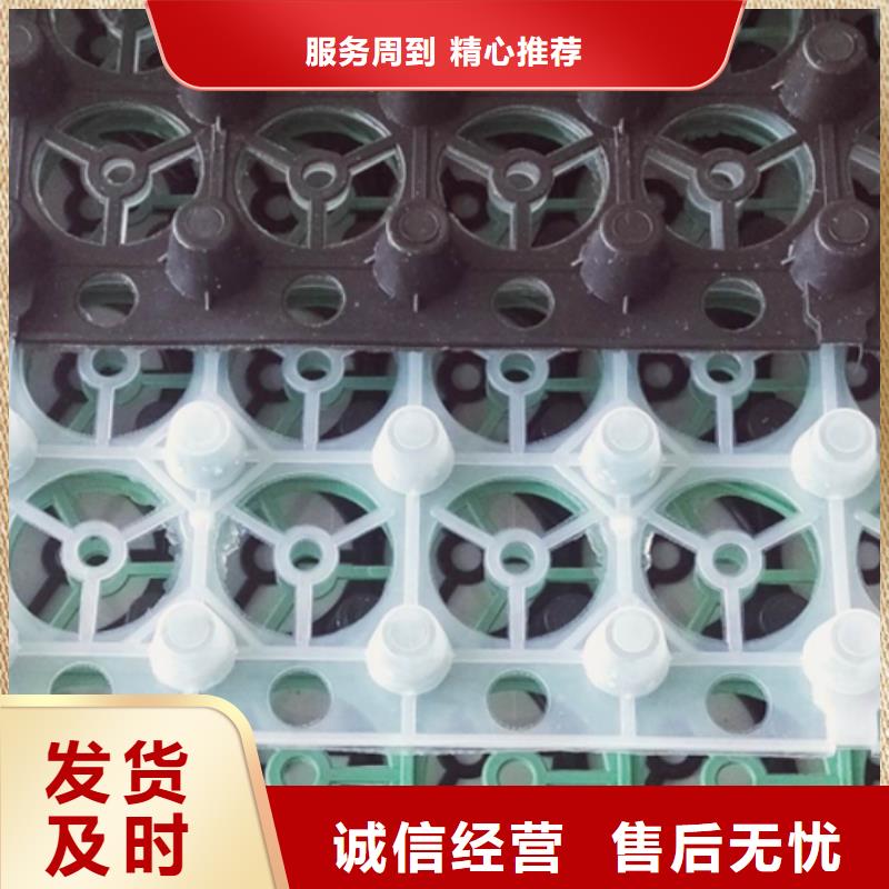 排水板水泥化粪池安装简单