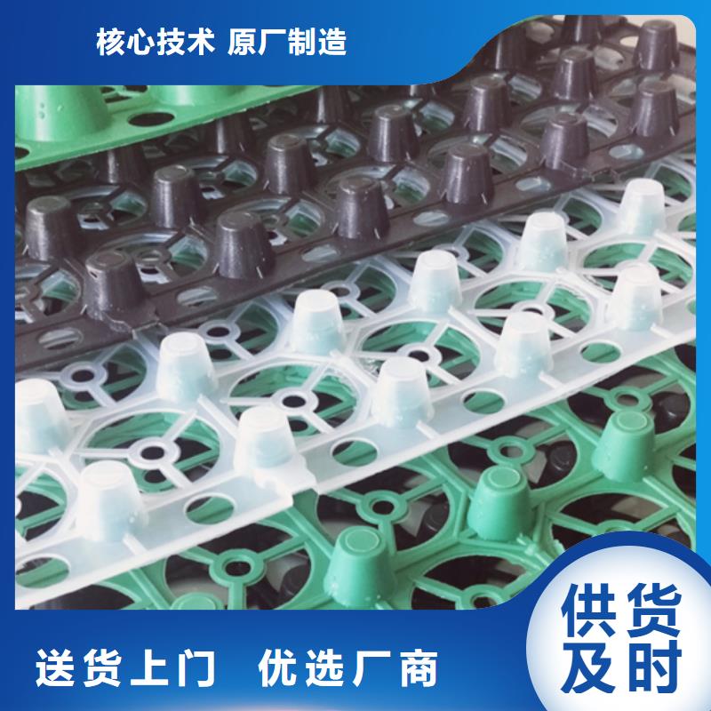 排水板植草格您想要的我们都有