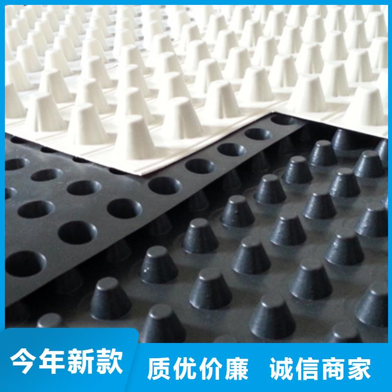 【排水板】水泥化粪池严选用料
