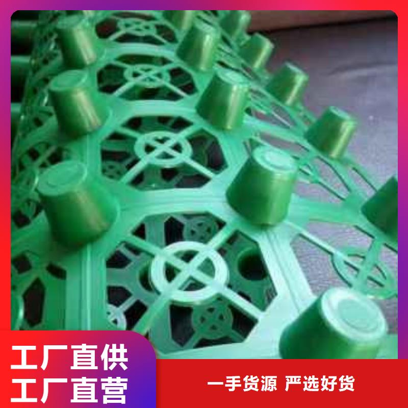 排水板【水泥化粪池】优势