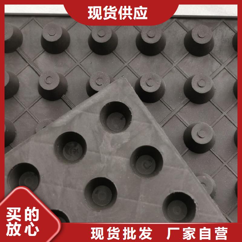 排水板水泥化粪池重信誉厂家