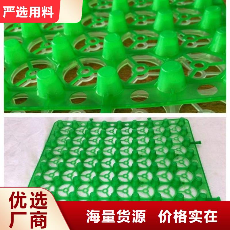排水板_水泥化粪池送货上门
