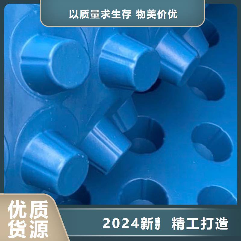 排水板_水泥化粪池检验发货