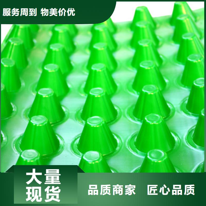 排水板水泥化粪池重信誉厂家