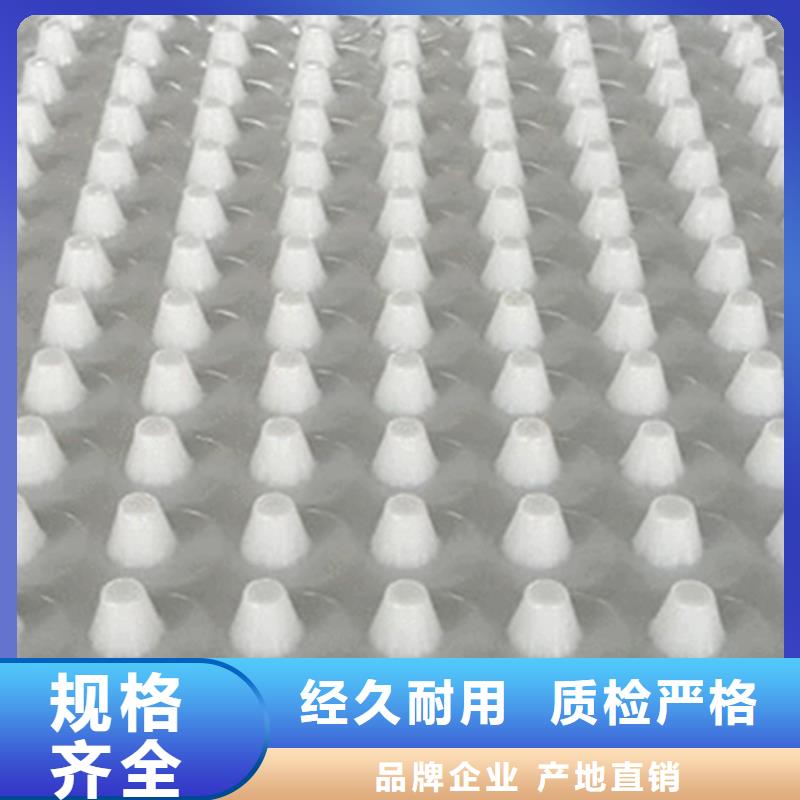 虹吸排水【植草格】厂家直接面向客户