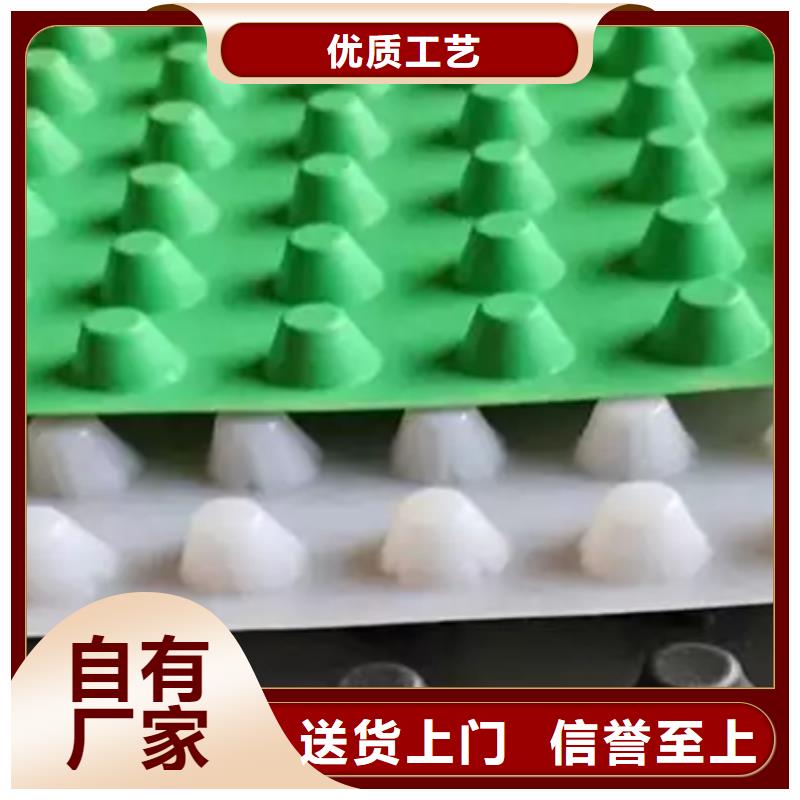 【虹吸排水_植草格厂家质量过硬】