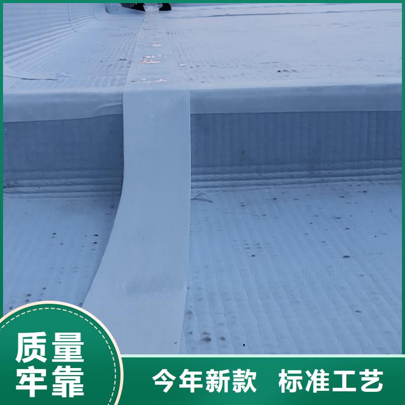 【虹吸排水排水板欢迎来电咨询】