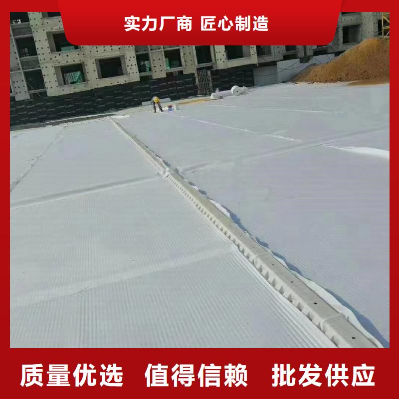 虹吸排水植草格实力商家供货稳定