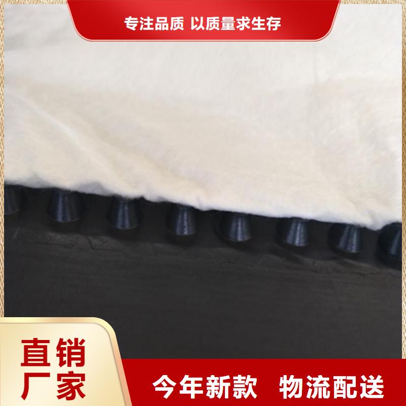 【虹吸排水_植草格厂家质量过硬】