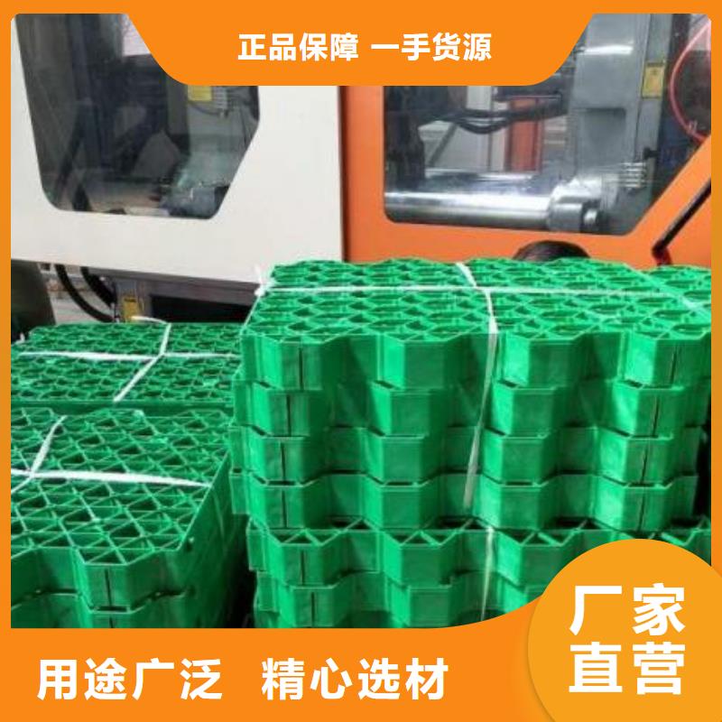 植草格排水板库存齐全厂家直供