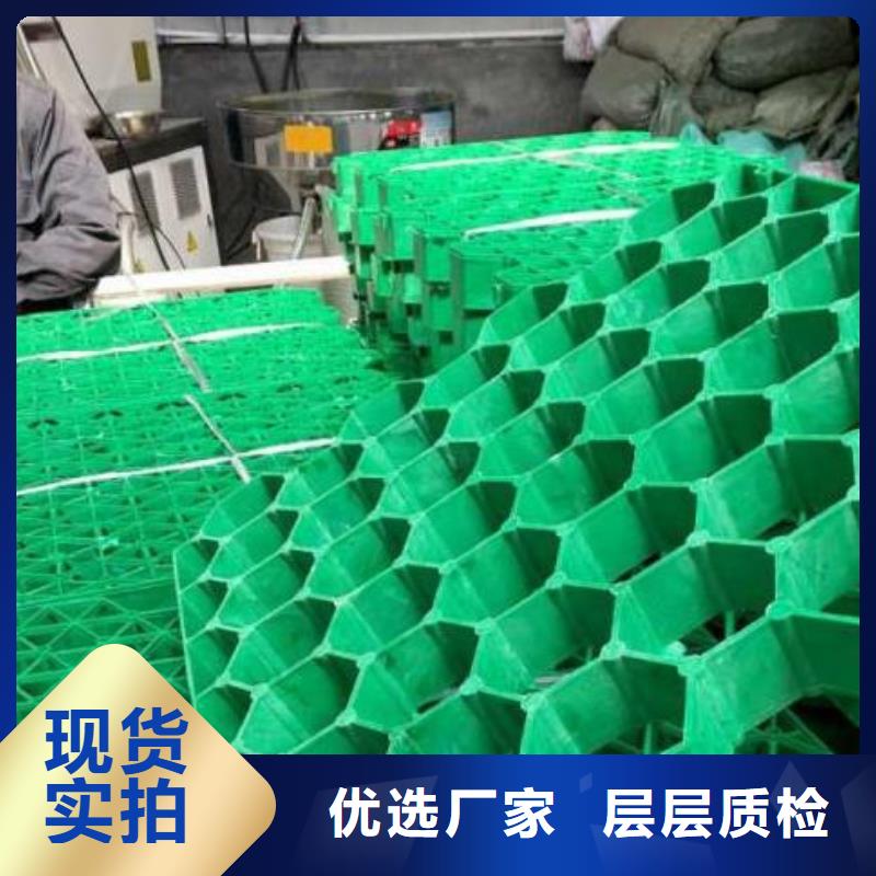 植草格排水板库存齐全厂家直供