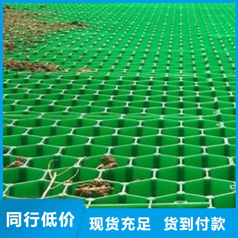 植草格_防护虹吸排水收集系统生产安装