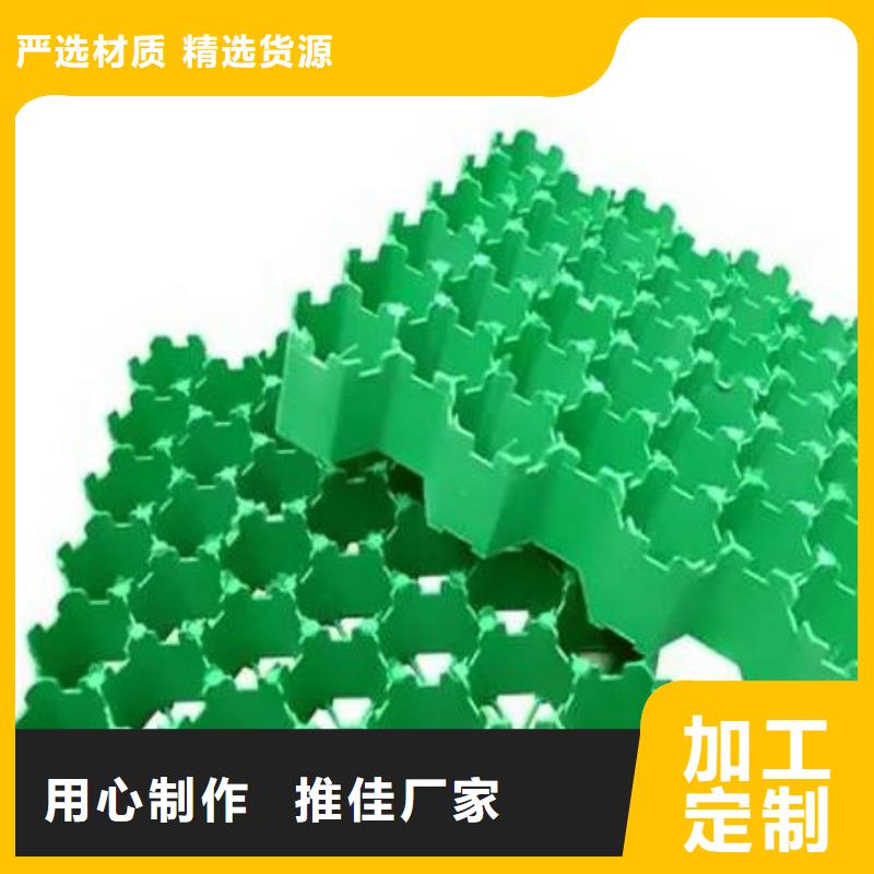 植草格排水板库存齐全厂家直供