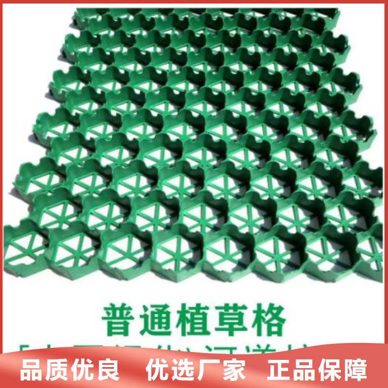 植草格-【防护虹吸排水收集系统】精选货源