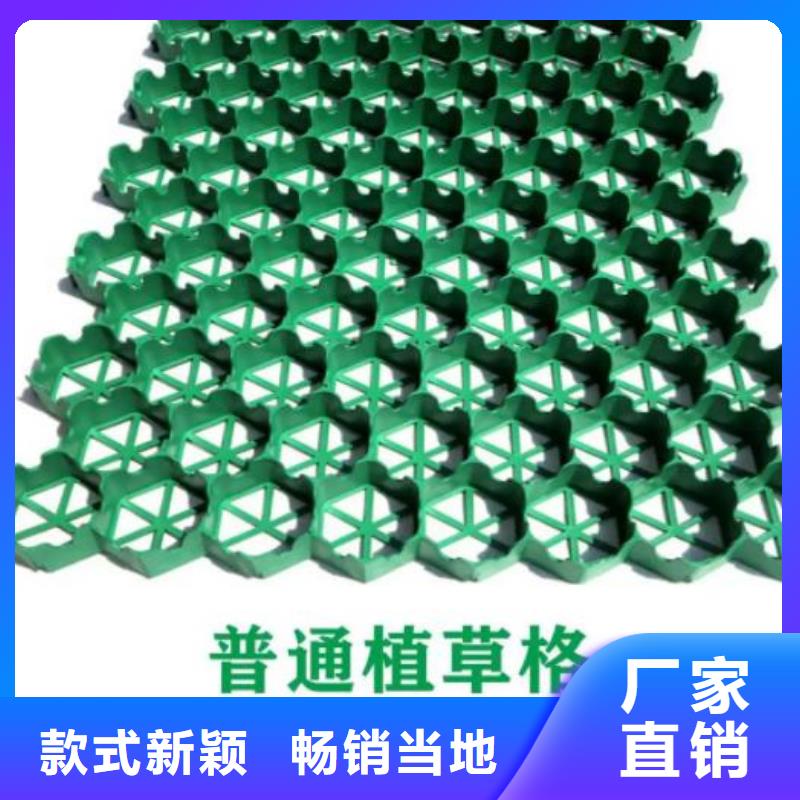 植草格【化粪池水泥】出厂价