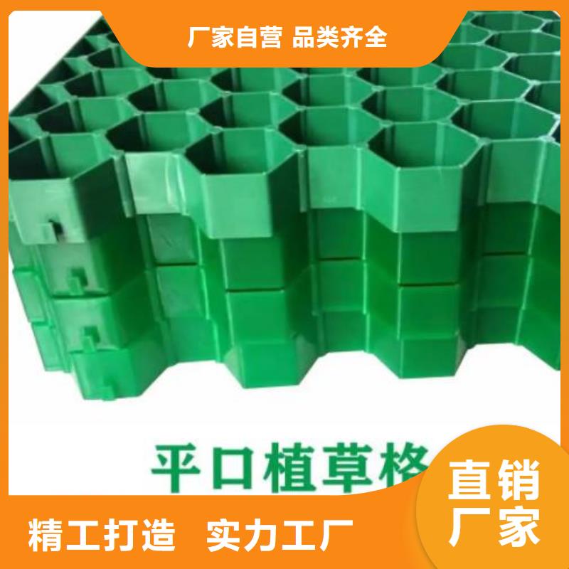 植草格防护虹吸排水收集系统工期短发货快