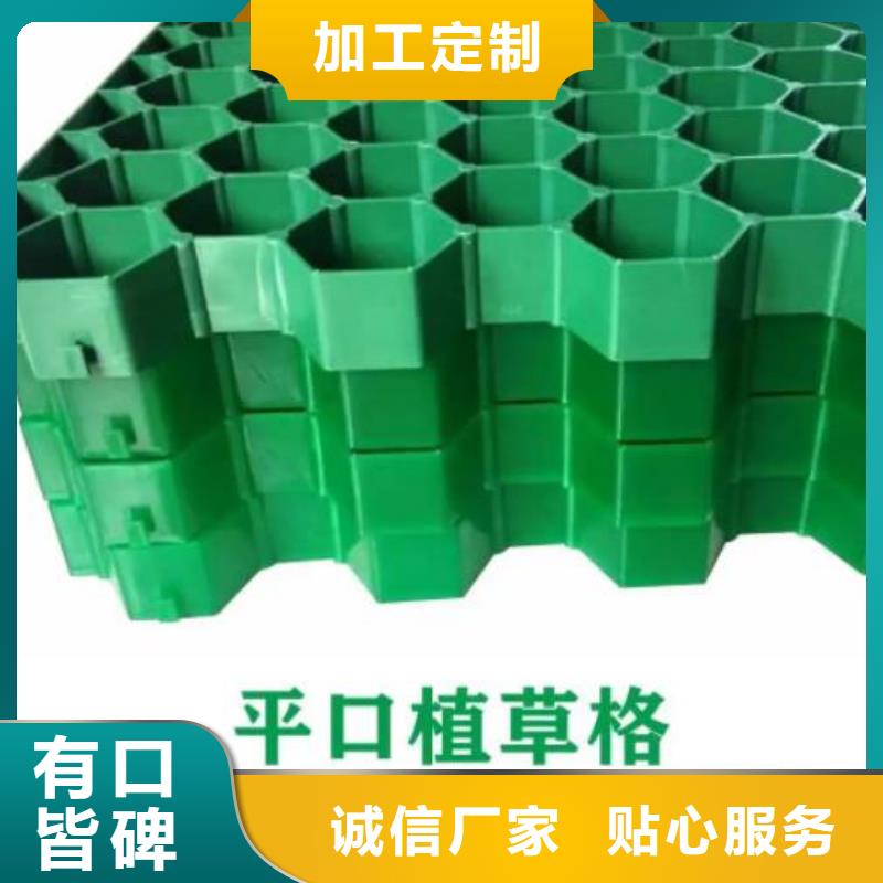 植草格水泥化粪池国标检测放心购买