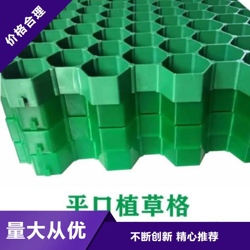植草格排水板优选厂家