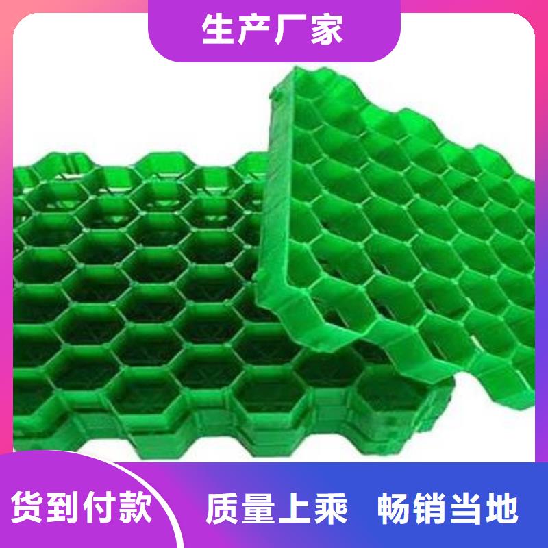 植草格排水板优选厂家