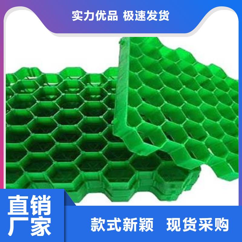 植草格排水板库存齐全厂家直供