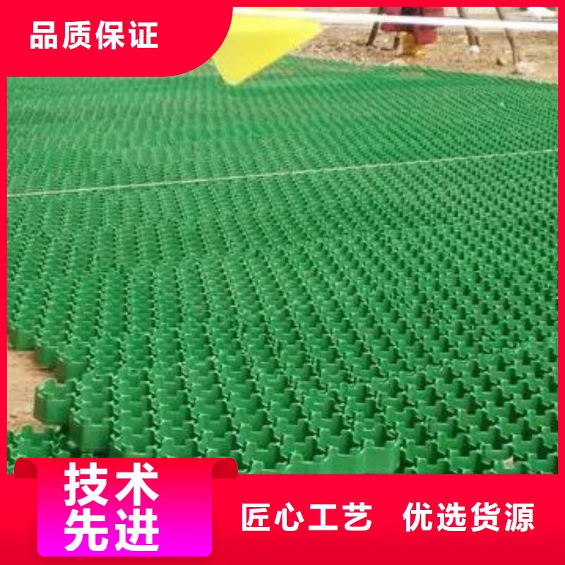 植草格【化粪池水泥】出厂价