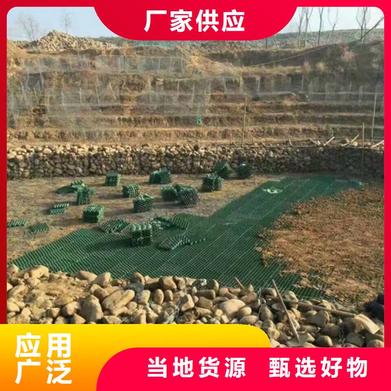 植草格_防护虹吸排水收集系统我们更专业