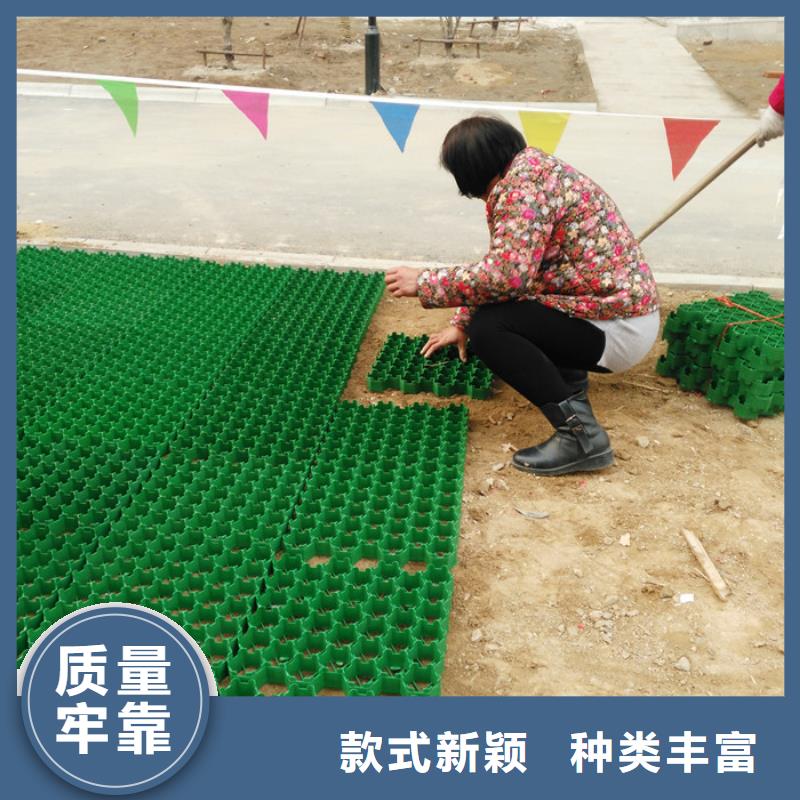 植草格植草格产品细节参数